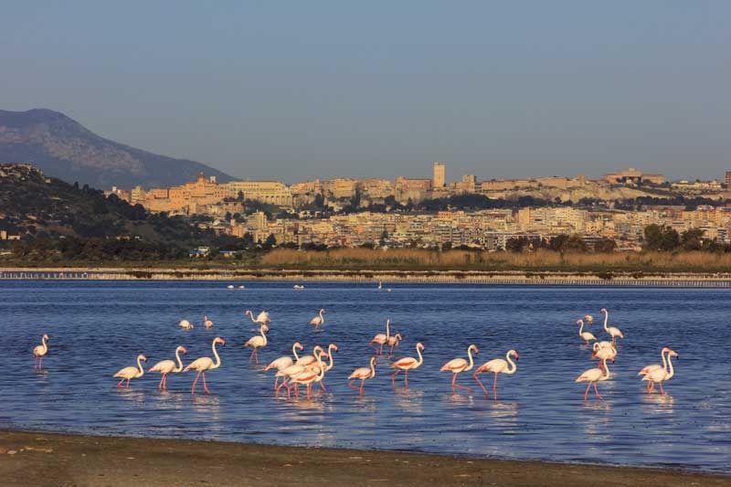 cagliari