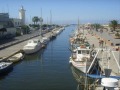 viareggio