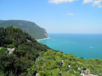 Ancona