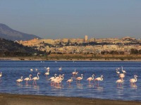 Cagliari